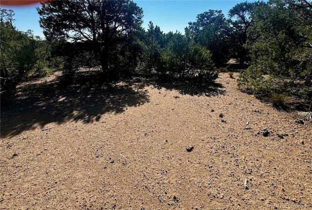 LOT1522 Dunn Rd, San Luis, CO 81152 - photo 8