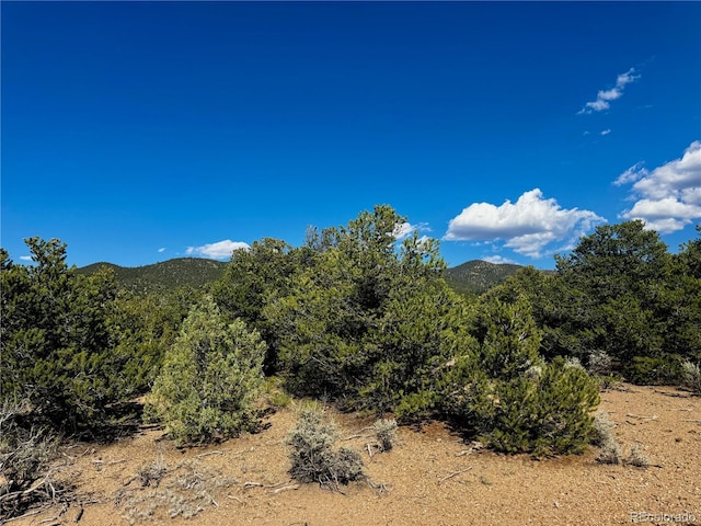 LOT1522 Dunn Rd, San Luis, CO 81152 - photo 9