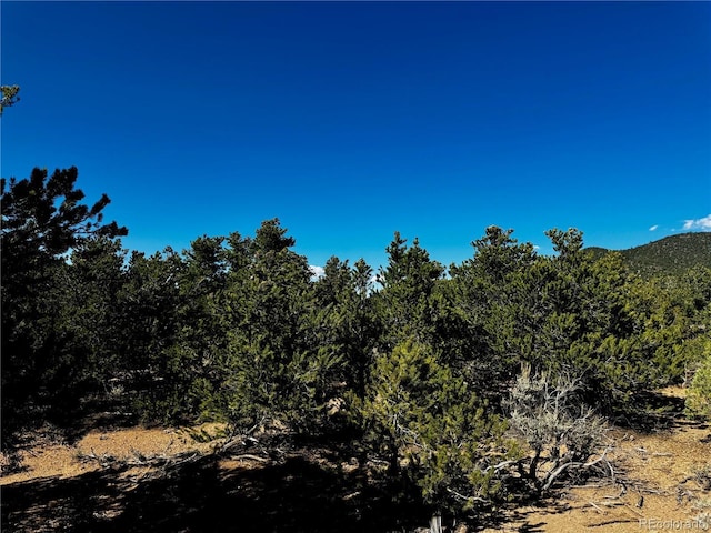 LOT1522 Dunn Rd, San Luis, CO 81152 - photo 10