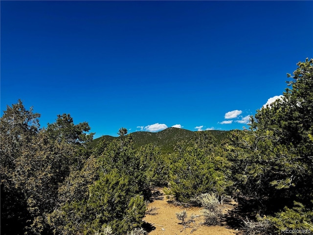 LOT1522 Dunn Rd, San Luis, CO 81152 - photo 11