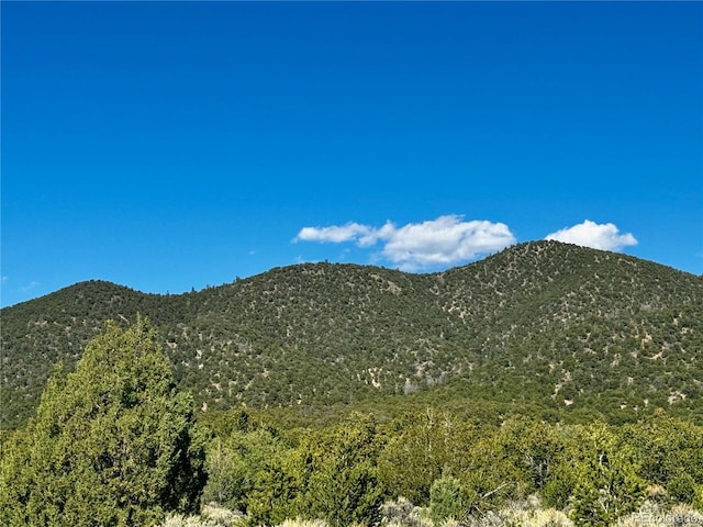 LOT1522 Dunn Rd, San Luis, CO 81152 - photo 13