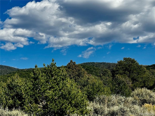 LOT1522 Dunn Rd, San Luis, CO 81152 - photo 14