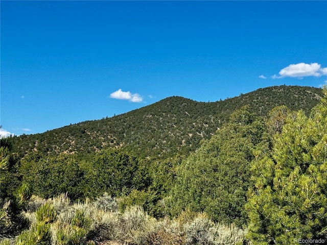 LOT1522 Dunn Rd, San Luis, CO 81152 - photo 15