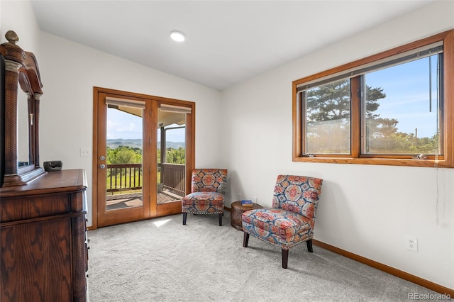 5115 Bristol St, Arvada, CO 80002 - photo 19