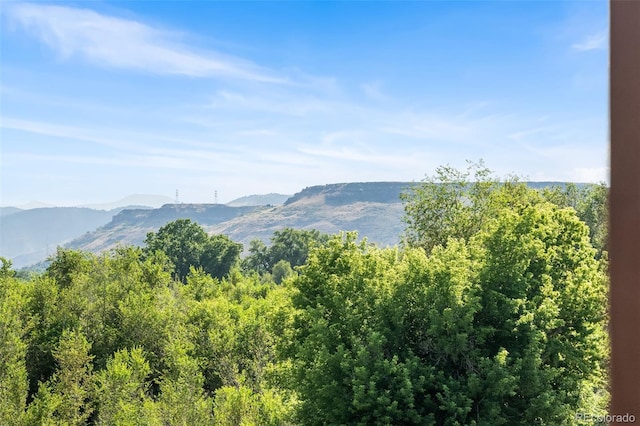 5115 Bristol St, Arvada, CO 80002 - photo 43