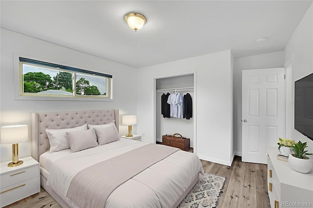 641 E 104th Pl, Northglenn, CO 80233 - bedroom with light wood-style flooring and a closet