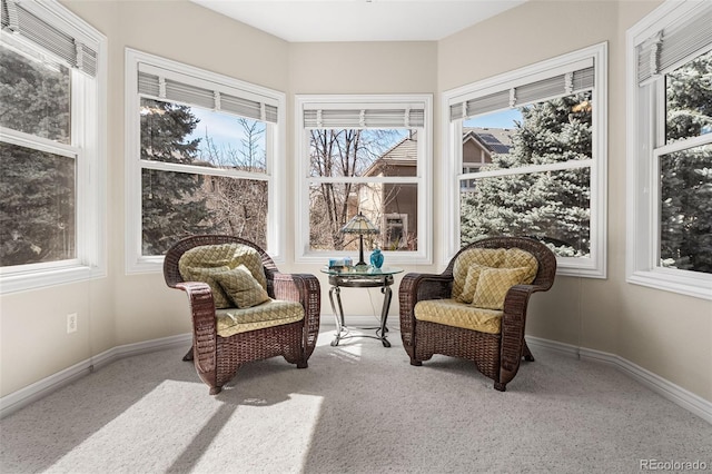 7425 S Utica St, Littleton, CO 80128 - photo 21
