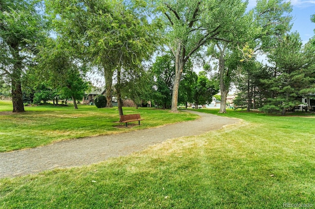 7425 S Utica St, Littleton, CO 80128 - photo 50