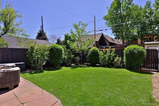 747 N Downing St, Denver, CO 80218 - view of yard