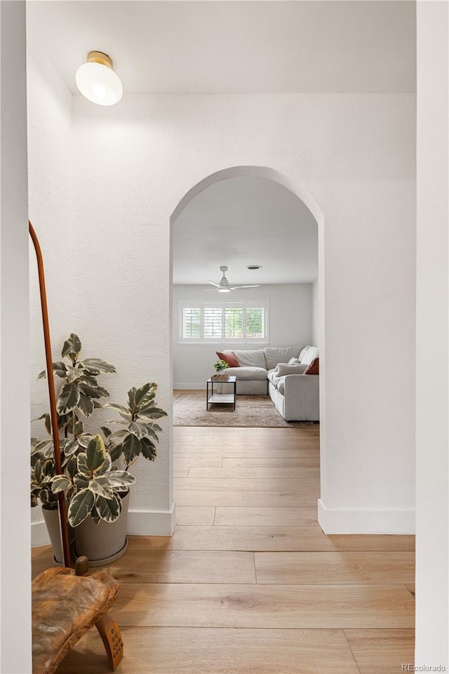 4567 Grove St, Denver, CO 80211 - corridor with arched walkways, wood finished floors, and baseboards