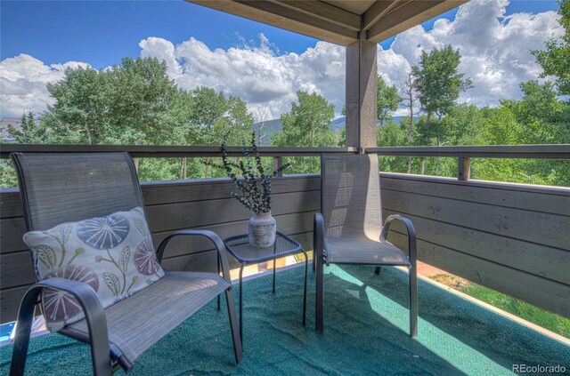 1420 Panadero Ave Unit 36, La Veta, CO 81055 - photo 16