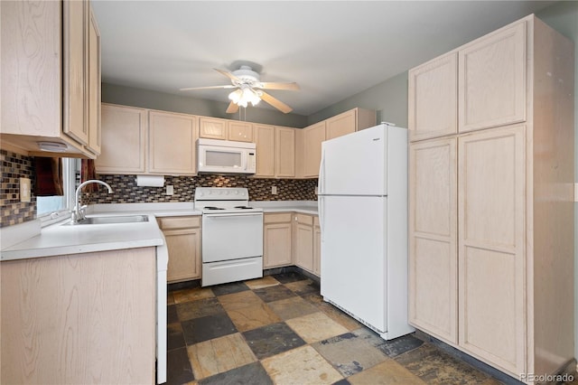 4424 Andes St, Denver, CO 80249 - photo 12