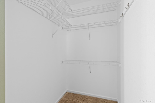 4424 Andes St, Denver, CO 80249 - photo 24