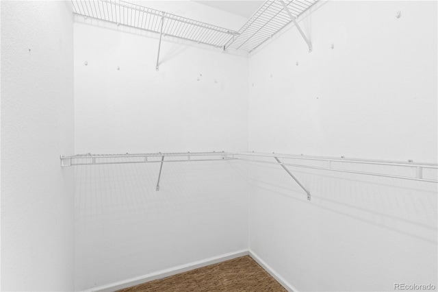 4424 Andes St, Denver, CO 80249 - photo 28