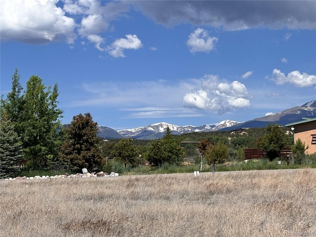 8954 Cameron Meadow Cir, Salida, CO 81201
