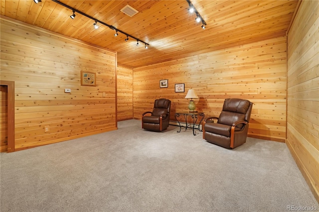 2398 Bitterroot Ln, Golden, CO 80401 - unfurnished room with rail lighting, wood walls, carpet flooring, wooden ceiling, and a baseboard heating unit