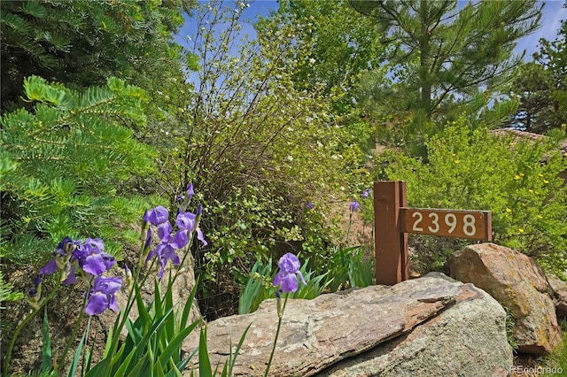 2398 Bitterroot Ln, Golden, CO 80401 - exterior view