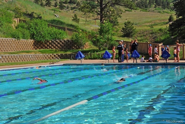 2398 Bitterroot Ln, Golden, CO 80401 - view of swimming pool