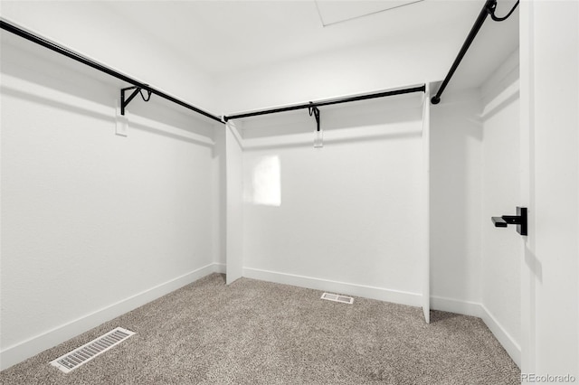 spacious closet featuring carpet