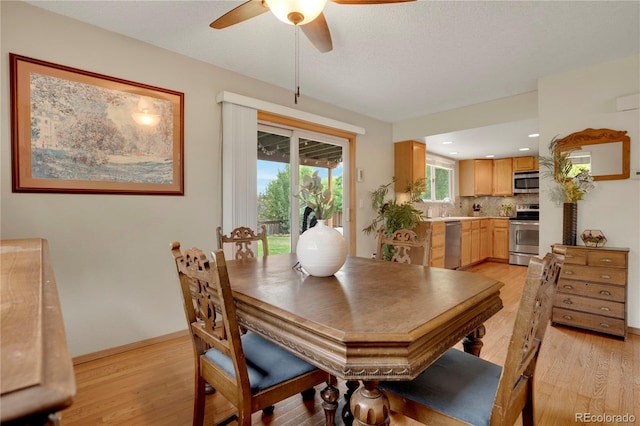 283 Saddlewood Cir, Highlands Ranch, CO 80126 - photo 12