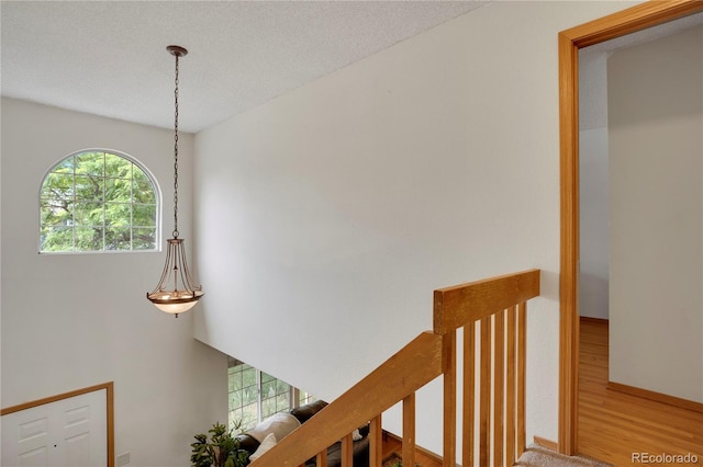283 Saddlewood Cir, Highlands Ranch, CO 80126 - photo 14