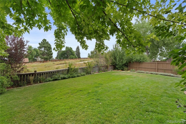 283 Saddlewood Cir, Highlands Ranch, CO 80126 - photo 34
