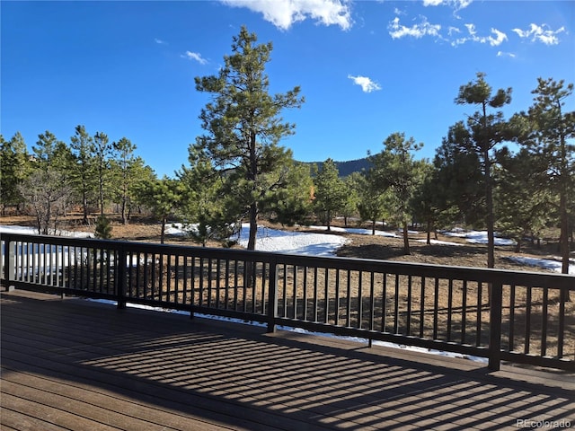 1298 Silverheels Dr, Larkspur, CO 80118 - photo 30