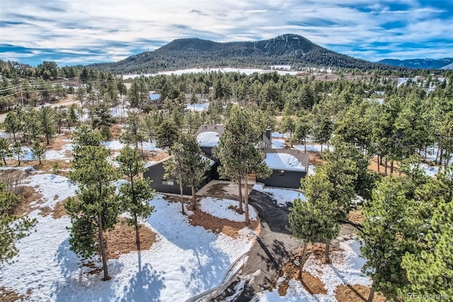 1298 Silverheels Dr, Larkspur, CO 80118 - photo 31