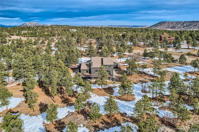 1298 Silverheels Dr, Larkspur, CO 80118 - photo 32