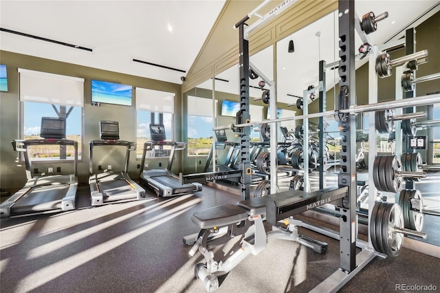 workout area featuring plenty of natural light and vaulted ceiling