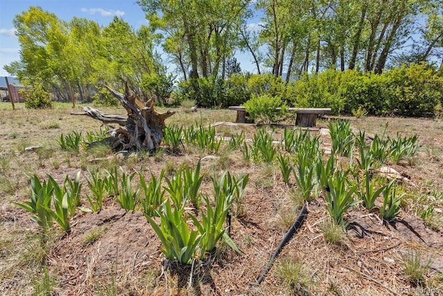 11203 W County Road 190, Salida, CO 81201 - photo 26