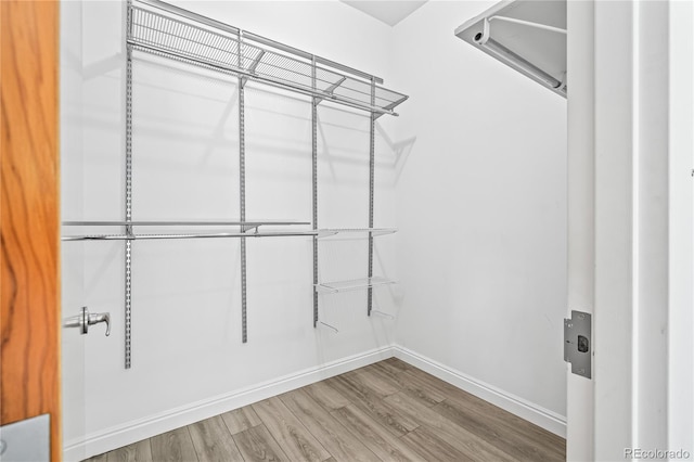 3100 Huron St Unit 1A, Denver, CO 80202 - spacious closet featuring wood finished floors