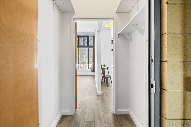 3100 Huron St Unit 1A, Denver, CO 80202 - hallway with wood finished floors and baseboards