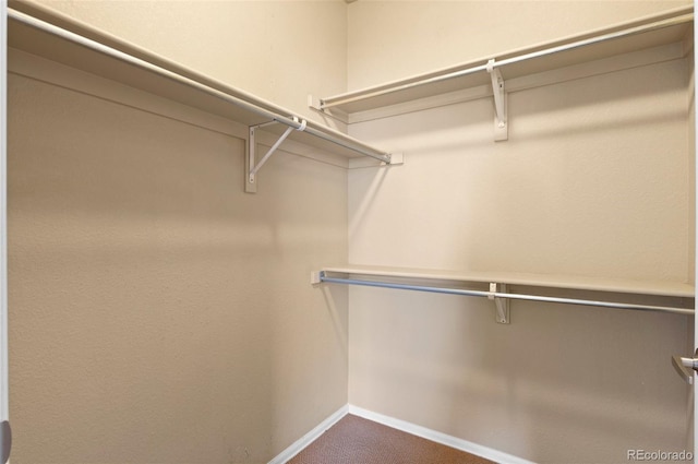 2662 S Cathay Way Unit 112, Aurora, CO 80013 - spacious closet featuring carpet flooring