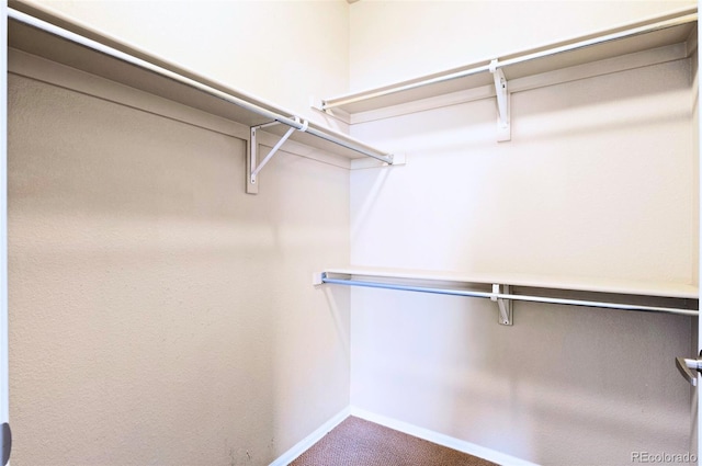 2662 S Cathay Way Unit 112, Aurora, CO 80013 - walk in closet with carpet floors