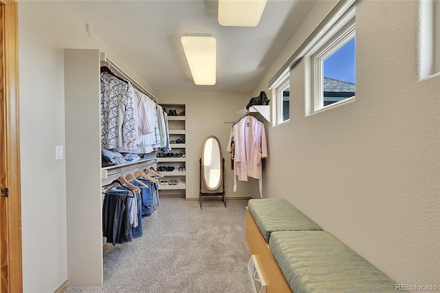 spacious closet with carpet floors