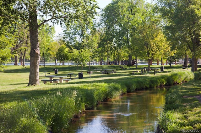 view of home's community with a yard