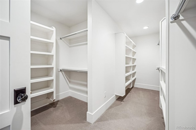 walk in closet with light colored carpet