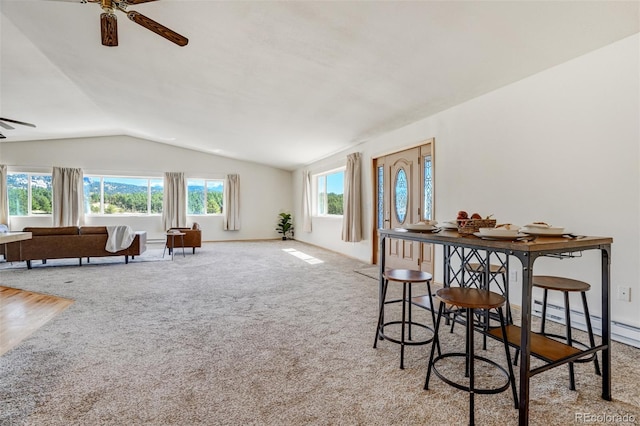 115 White Tail Ln, Florissant, CO 80816 - photo 13