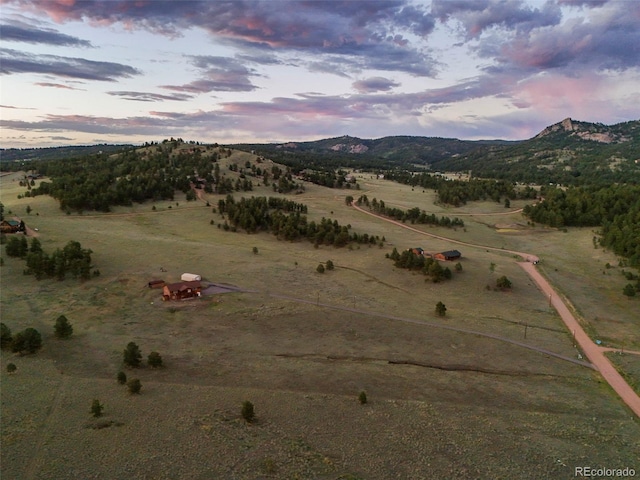 115 White Tail Ln, Florissant, CO 80816 - photo 38