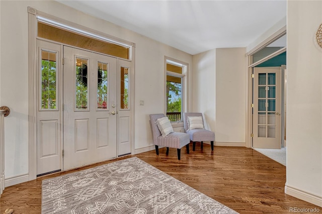 16150 Cliffrock Ct, Colorado Springs, CO 80921 - foyer featuring healthy amount of natural light, wood finished floors, and baseboards