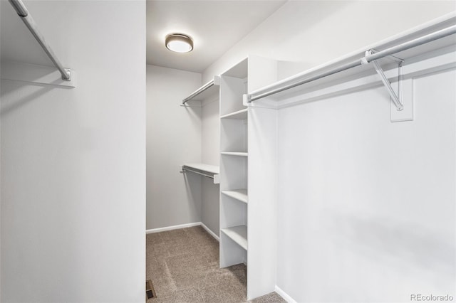 9540 High Cliffe St, Highlands Ranch, CO 80129 - photo 21