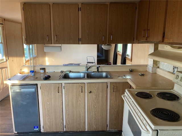 kitchen featuring electric stove, a sink, light countertops, and range hood