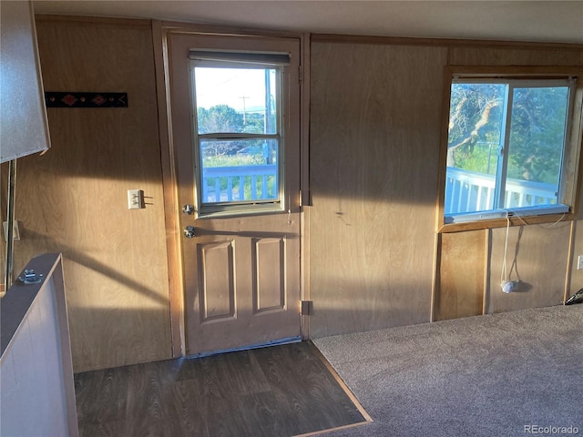 doorway featuring wood finished floors