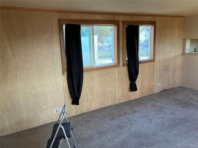 carpeted empty room featuring wood walls