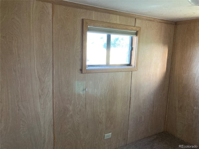 spare room featuring wooden walls