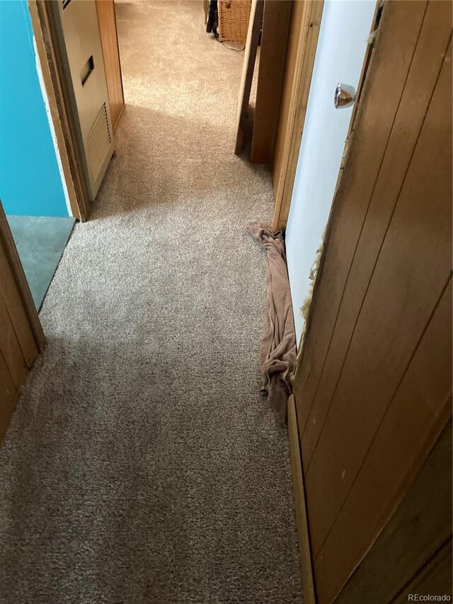 hallway with carpet floors