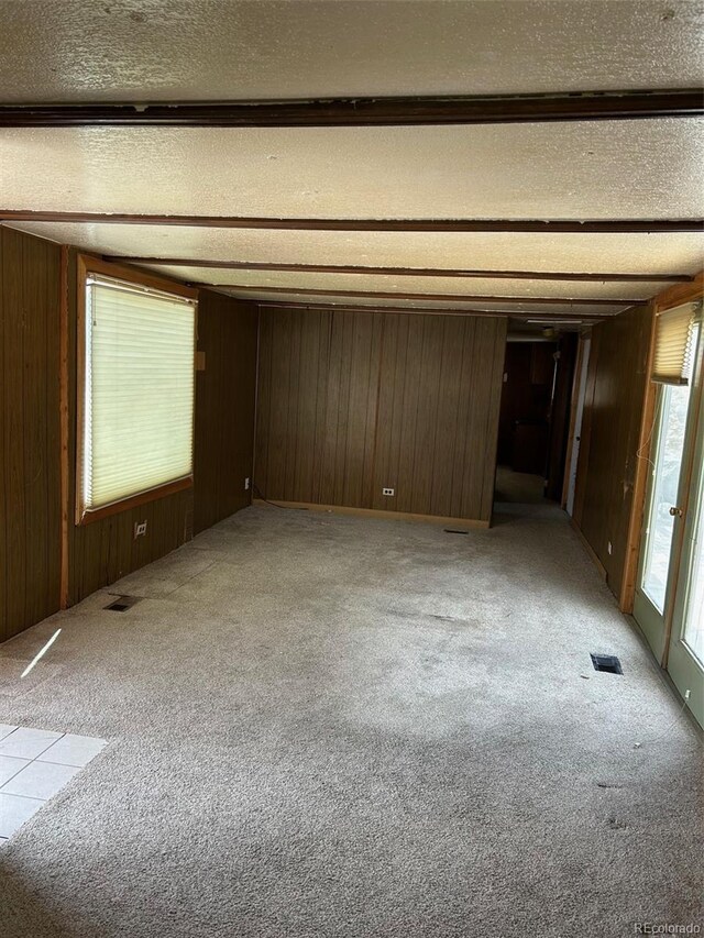 30395 County Road 383, Buena Vista, CO 81211 - photo 38