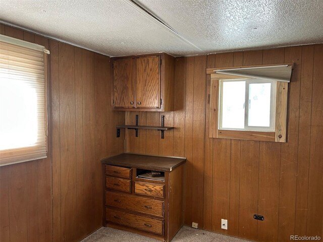 30395 County Road 383, Buena Vista, CO 81211 - photo 43