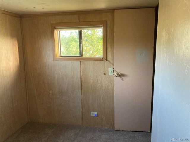 30395 County Road 383, Buena Vista, CO 81211 - photo 29